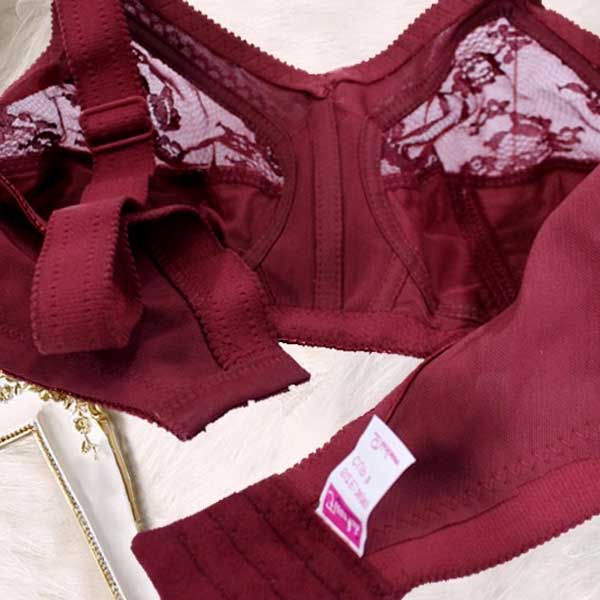 Full Coverage Minimizer Bra