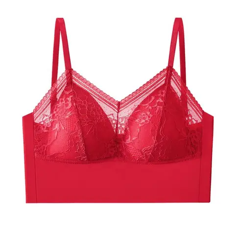 Women Silk Bra Mulberry Silk Everyday wear Lace with  Padded breathable push-up bra