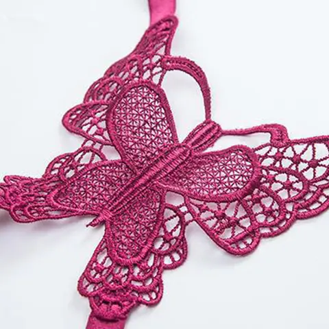 Women Custom ladies Sexy Underwear Push Up Bra Butterfly Closure Lace honeymoon Bra and Panty set